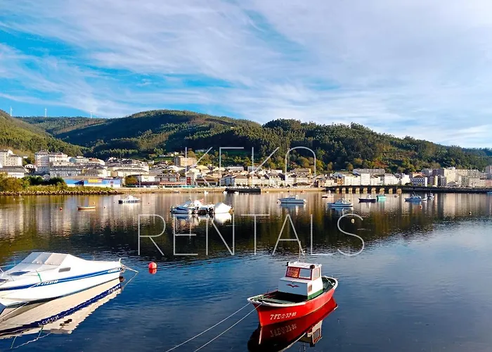 Viveiro Muralla
